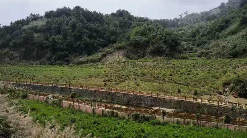 16703054389f9840dec0b3a301