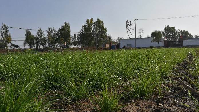 1670305879dd96a33516fe05e1