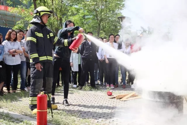 20a6009e1e29d3d9262d5c9d1f0ba73a