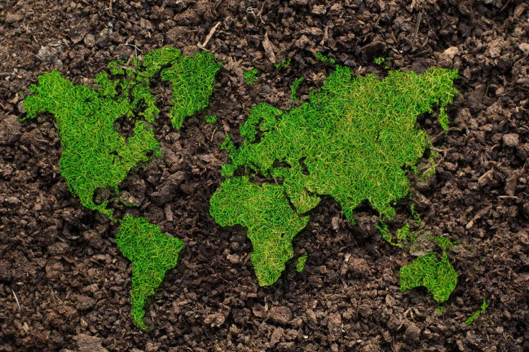 469599cb5a5a541001e1ffccbd3ae969