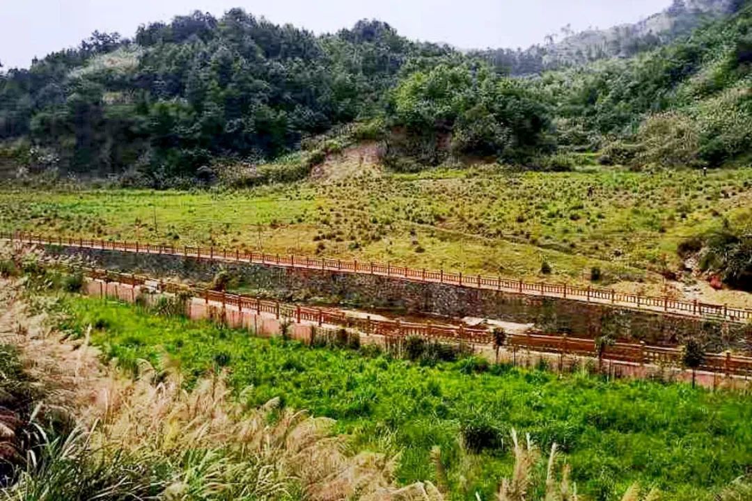 4ff5364620be4985f731de777a445567