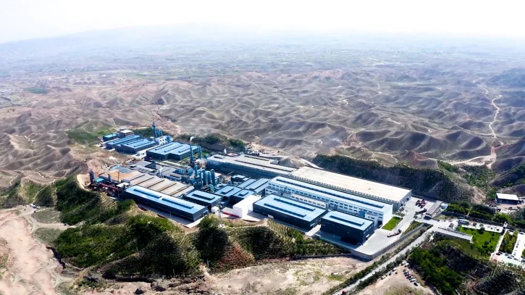 53048a789a3275d9f0eddfe82508ca82