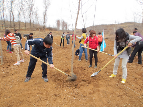 982eb1047ca74a9e175353cc07616b41