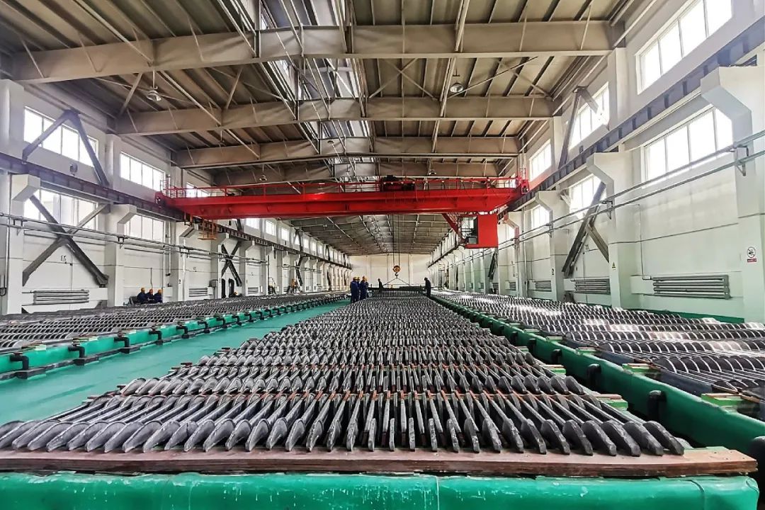 c201d8c0522f2009e64461c6fa3944dc