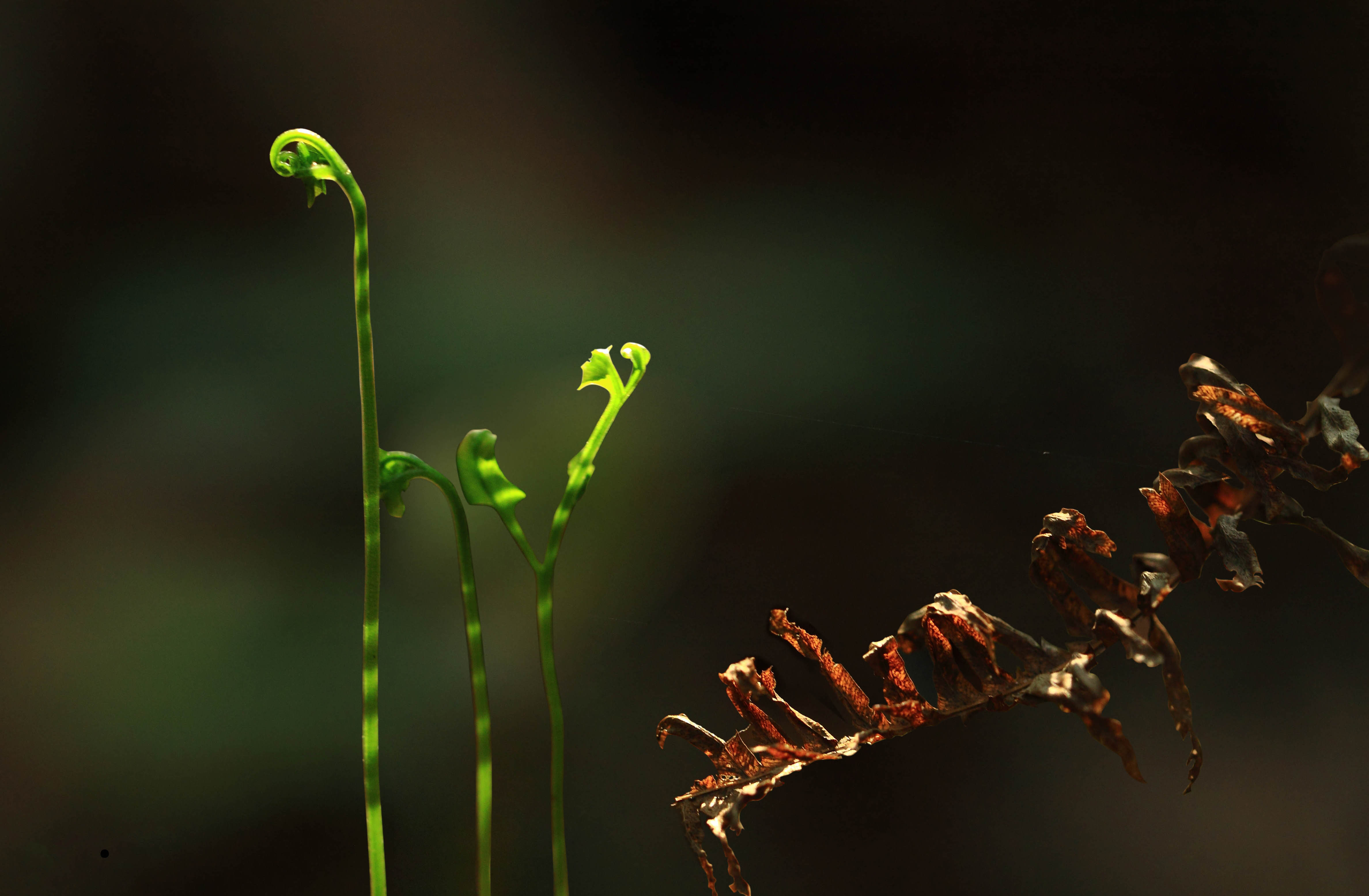 亚洲必赢·(中国区)唯一官方网站